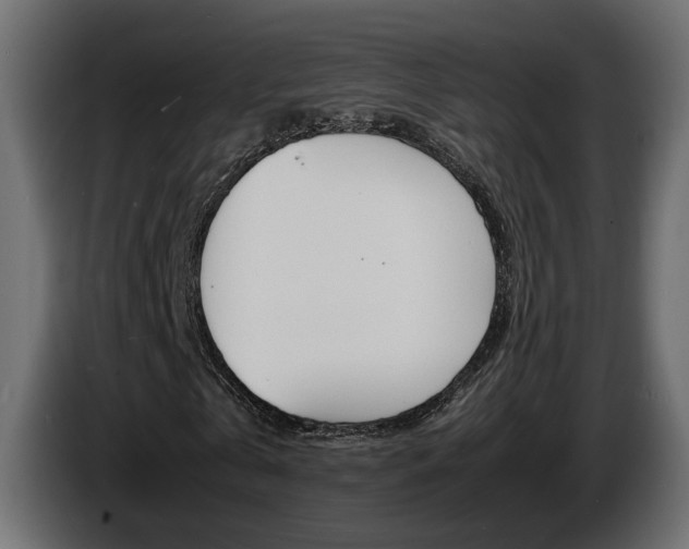 X0000086910769200704161008