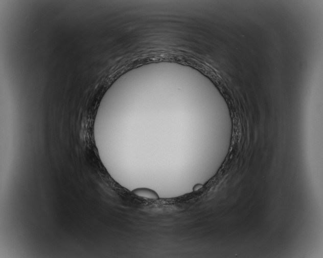 X0000086910770200704161008