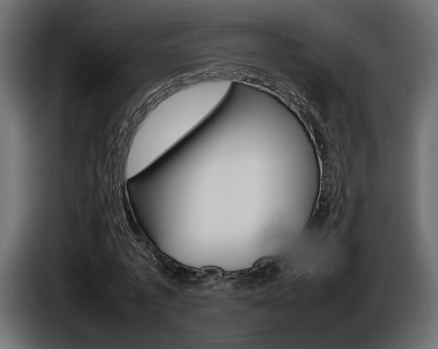 X0000086910773200704161008