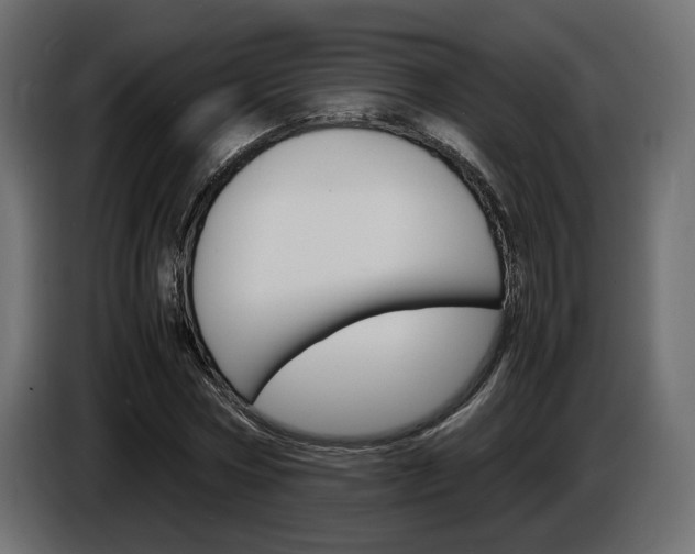 X0000086910778200704161008