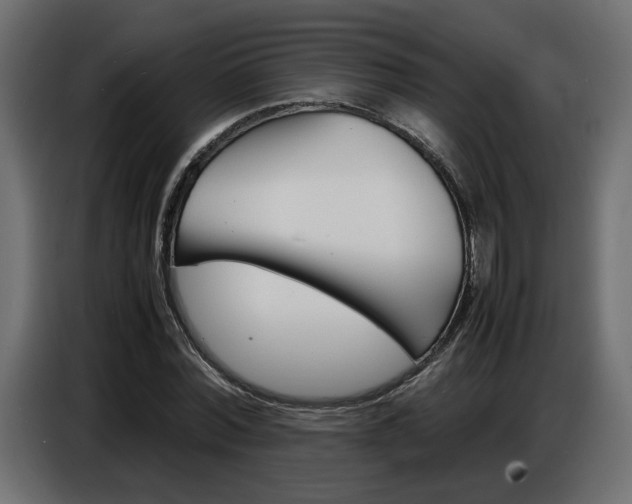 X0000086910780200704161008