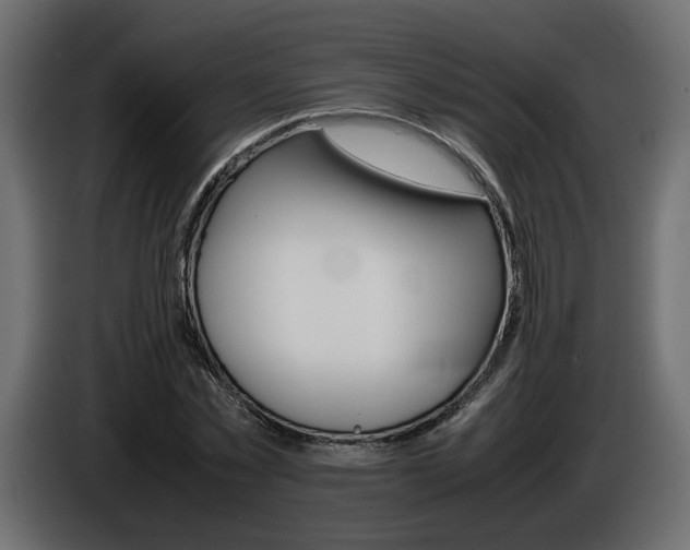 X0000086910781200704161008