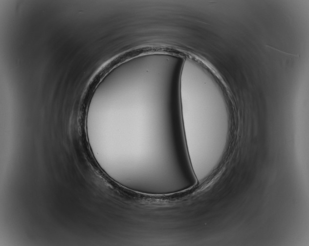 X0000086910783200704161008