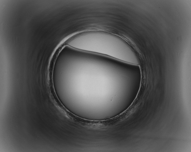 X0000086910784200704161008