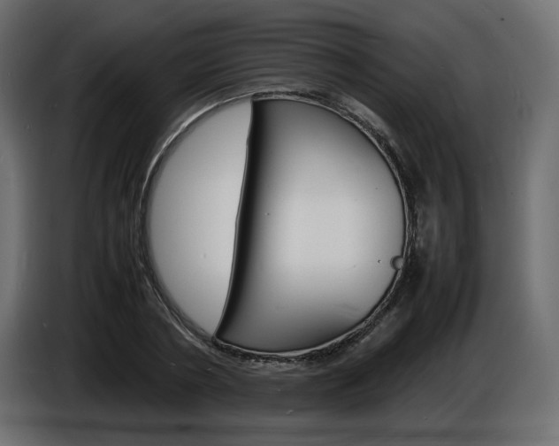 X0000086910786200704161008