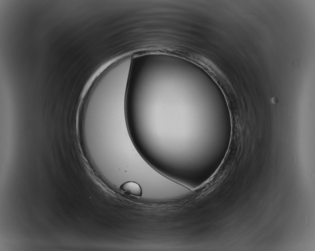 X0000086910788200704161008