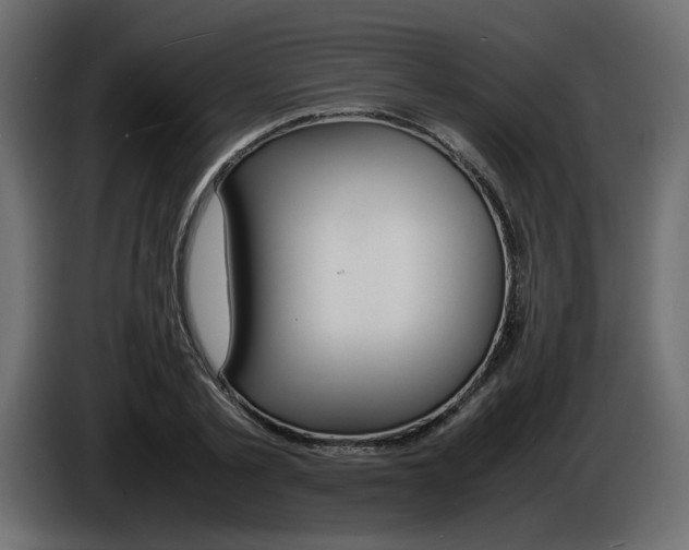 X0000086910789200704161008