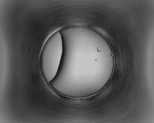 X0000086910790200704161008