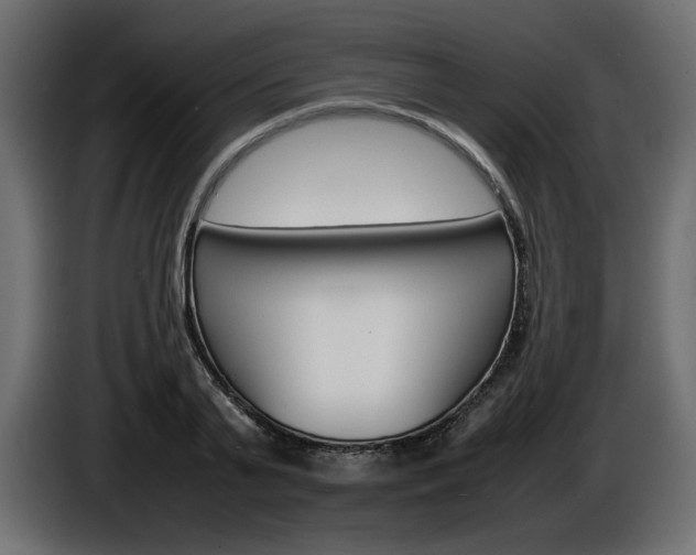 X0000086910791200704161008
