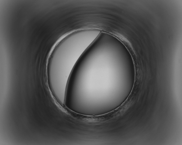 X0000086910792200704161008