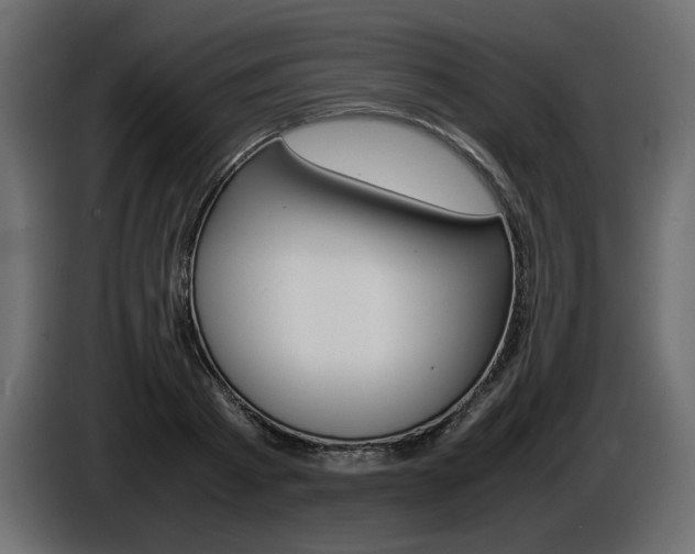 X0000086910793200704161008