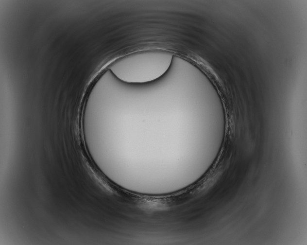 X0000086910794200704161008