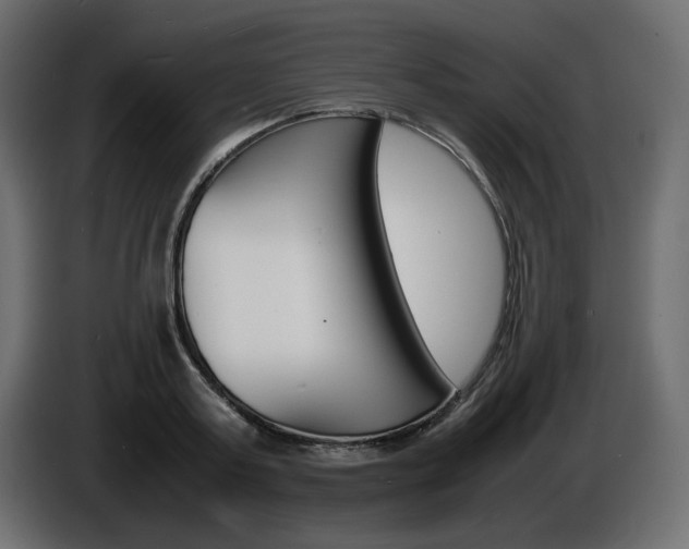 X0000086910795200704161008