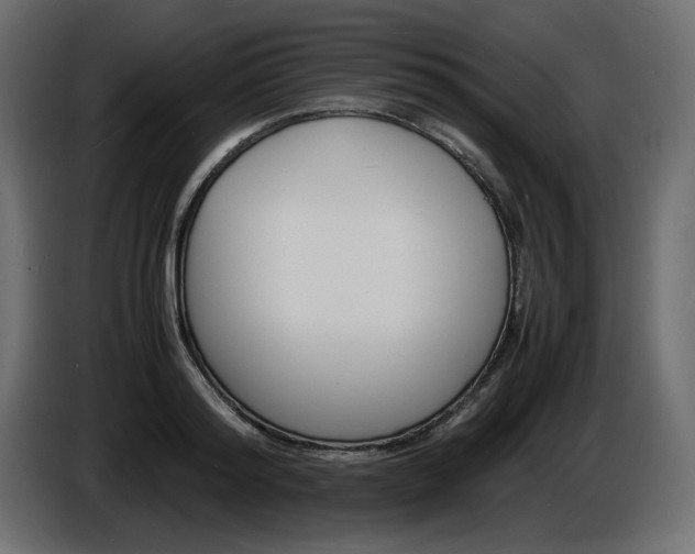 X0000086910796200704161008