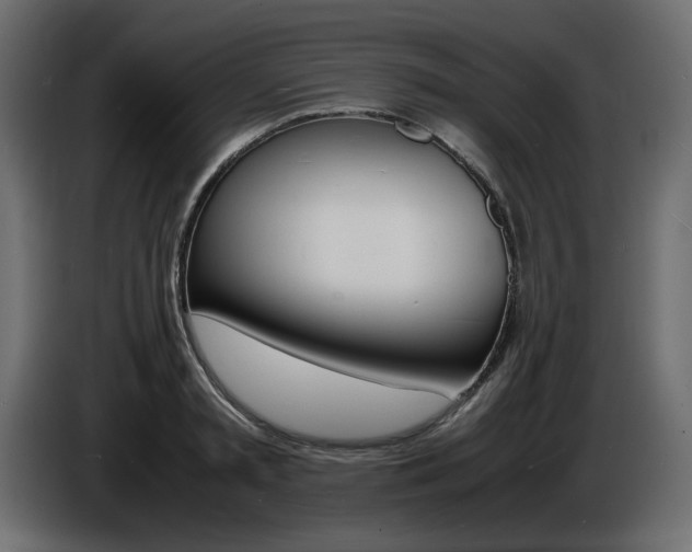 X0000086910797200704161008