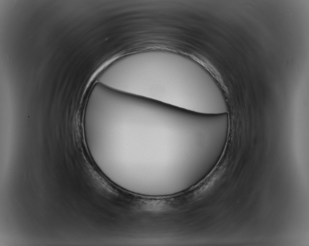 X0000086910798200704161008
