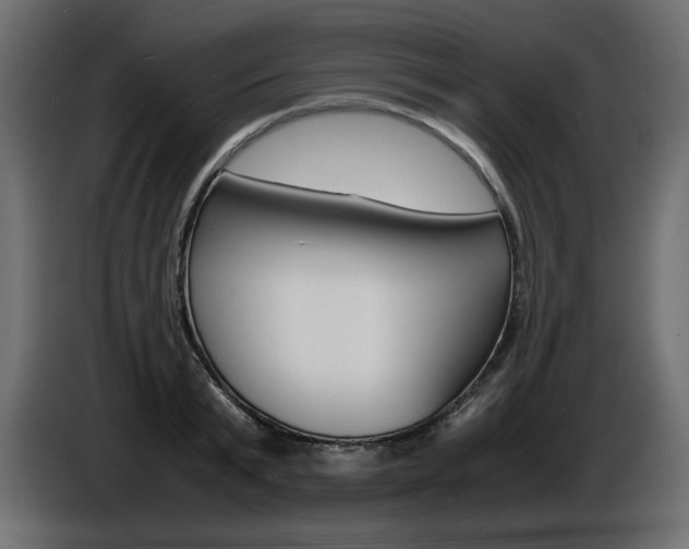 X0000086910799200704161008