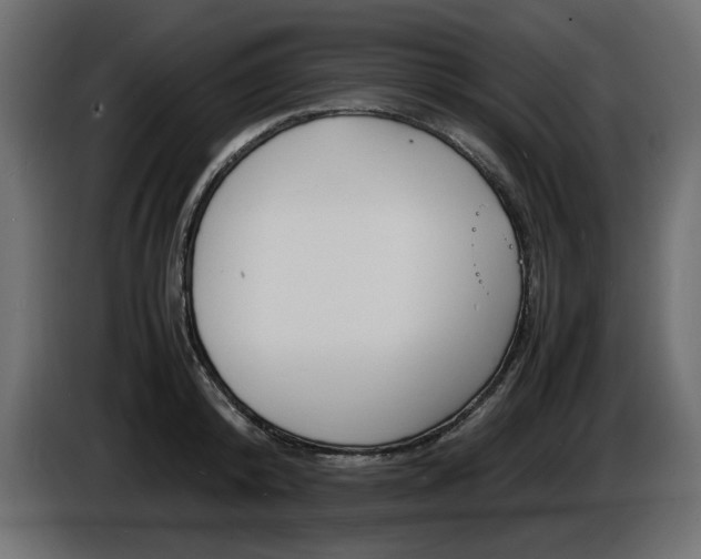 X0000086910800200704161008