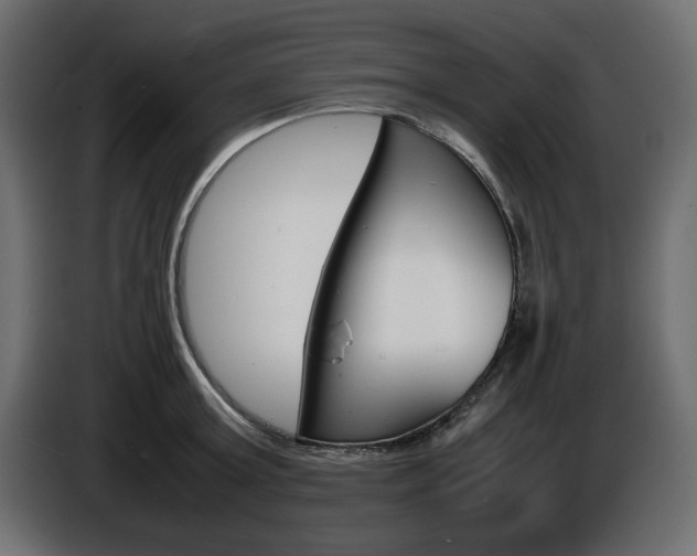 X0000086910803200704161008