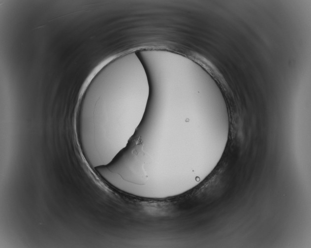 X0000086910804200704161008