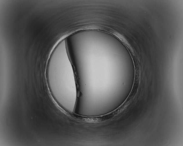 X0000086910805200704161008