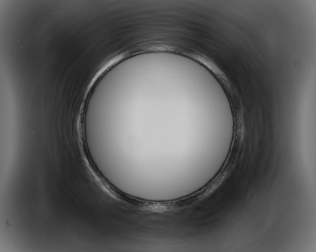 X0000086910806200704161008