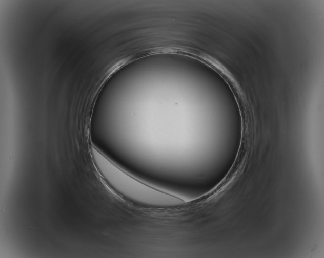 X0000086910809200704161008