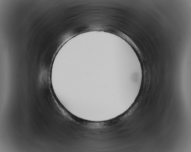 X0000086910810200704161008
