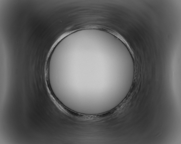 X0000086910811200704161008
