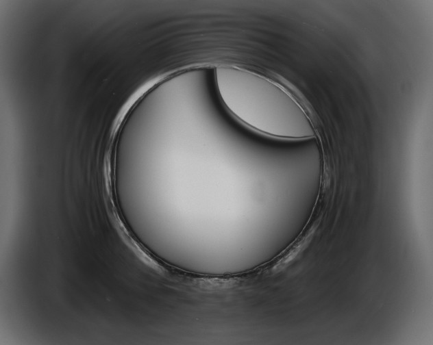X0000086910812200704161008
