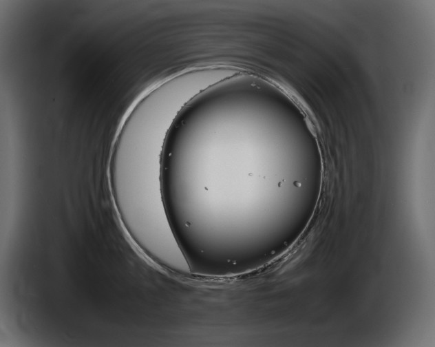 X0000086910813200704161008