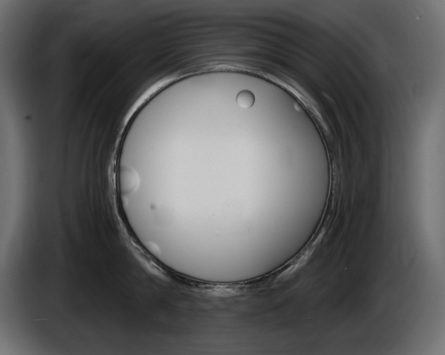 X0000086910814200704161008