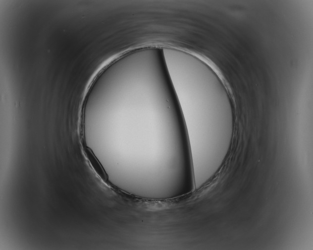 X0000086910815200704161008