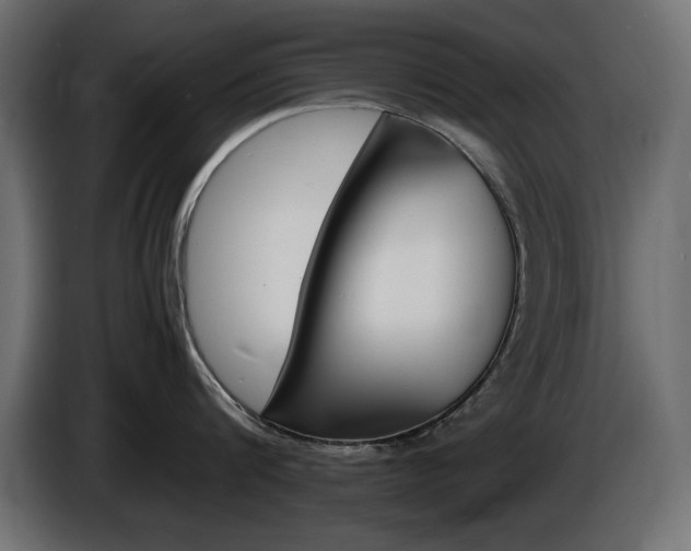 X0000086910816200704161008