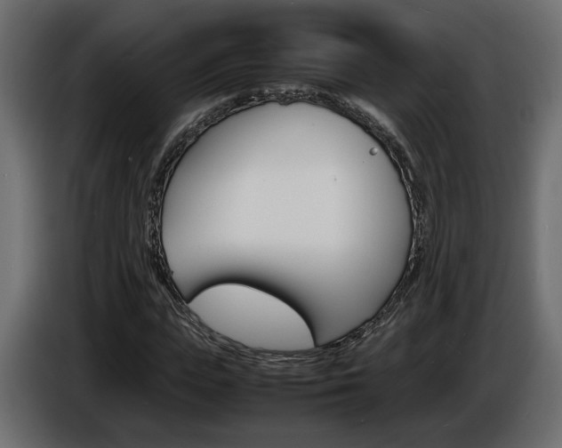 X0000086910823200704161007