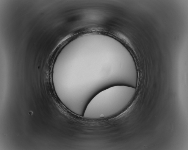 X0000086910827200704161007