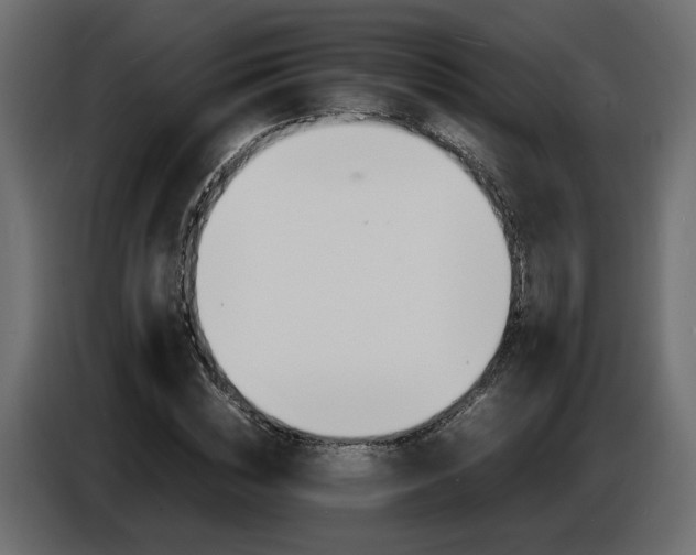 X0000086910828200704161007