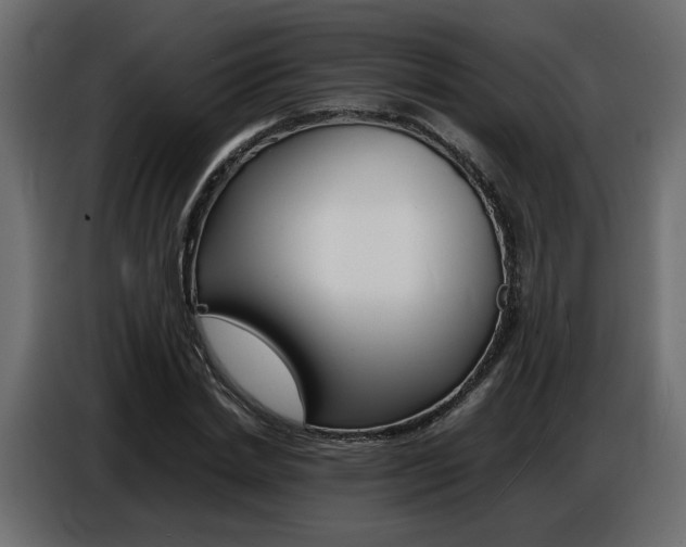 X0000086910830200704161007
