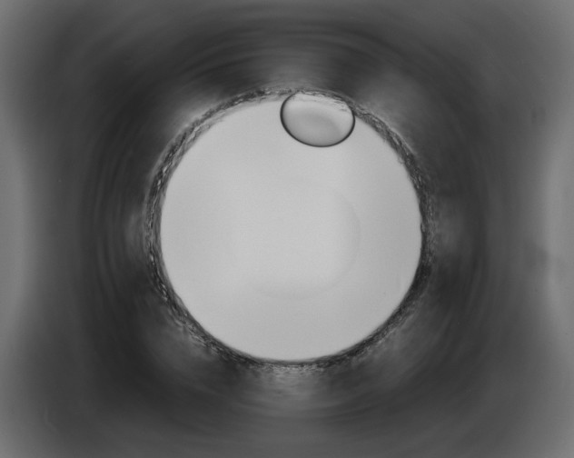 X0000086910832200704161007