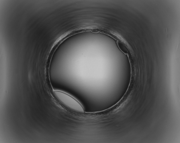 X0000086910834200704161007