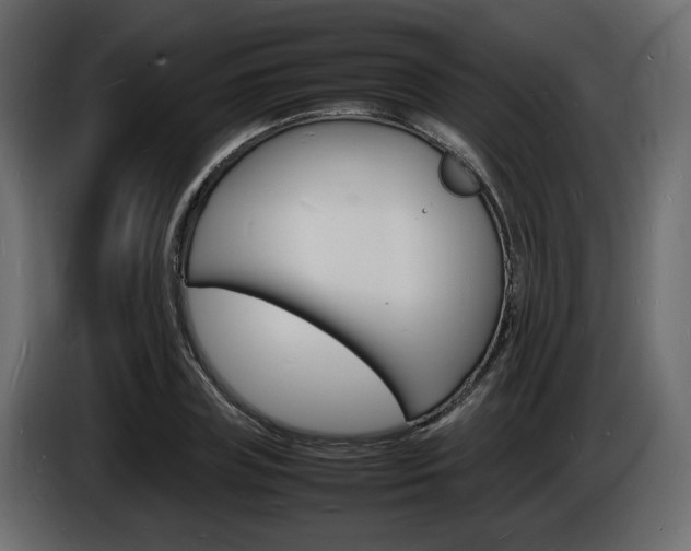X0000086910835200704161007