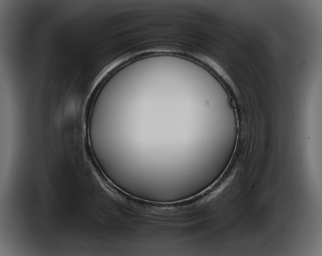 X0000086910837200704161007
