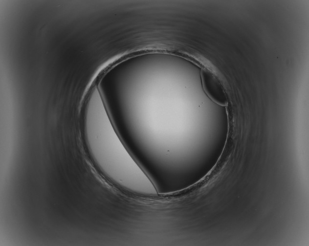 X0000086910838200704161007