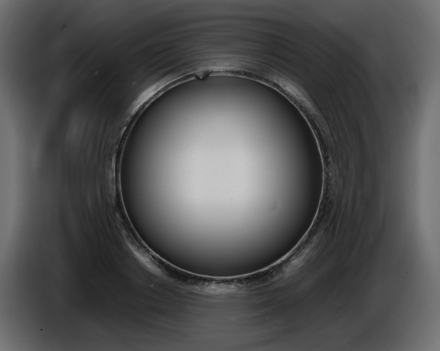 X0000086910842200704161007