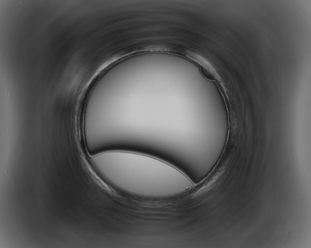 X0000086910843200704161007