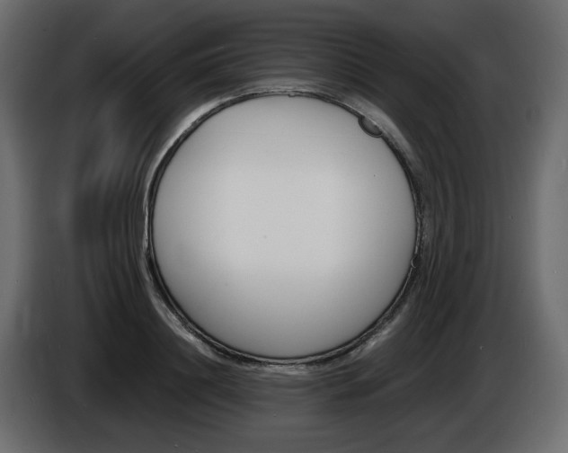 X0000086910844200704161007
