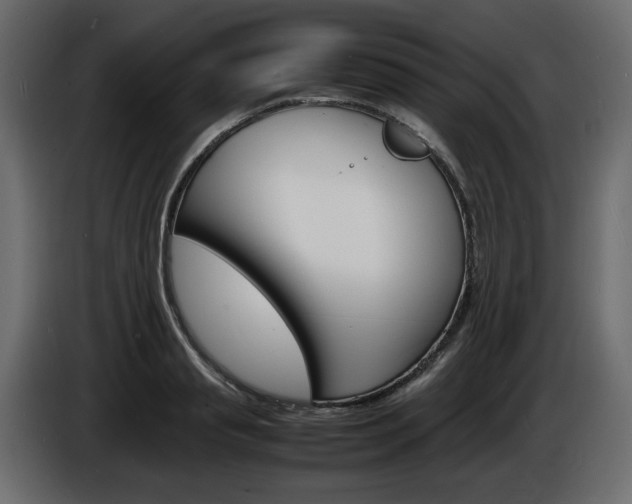 X0000086910845200704161007