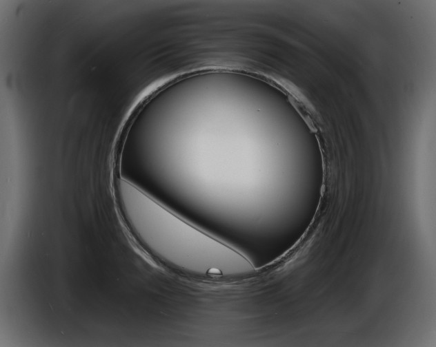 X0000086910846200704161007
