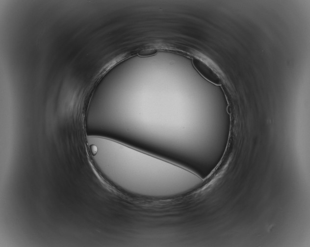 X0000086910849200704161007
