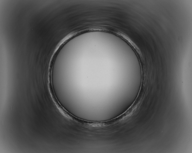 X0000086910853200704161007